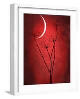 Under the Moon 2-Philippe Sainte-Laudy-Framed Photographic Print