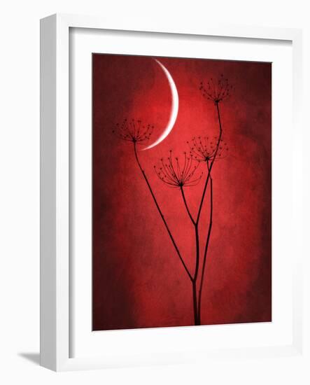 Under the Moon 2-Philippe Sainte-Laudy-Framed Photographic Print