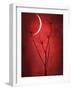 Under the Moon 2-Philippe Sainte-Laudy-Framed Photographic Print