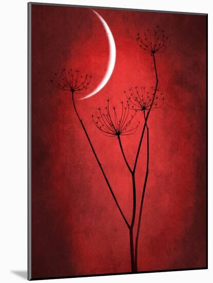 Under the Moon 2-Philippe Sainte-Laudy-Mounted Photographic Print