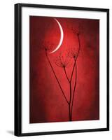 Under the Moon 2-Philippe Sainte-Laudy-Framed Photographic Print