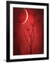 Under the Moon 2-Philippe Sainte-Laudy-Framed Photographic Print