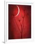 Under the Moon 2-Philippe Sainte-Laudy-Framed Photographic Print