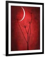 Under the Moon 2-Philippe Sainte-Laudy-Framed Photographic Print