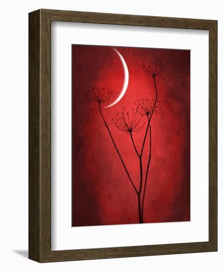 Under the Moon 2-Philippe Sainte-Laudy-Framed Photographic Print