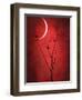 Under the Moon 2-Philippe Sainte-Laudy-Framed Photographic Print