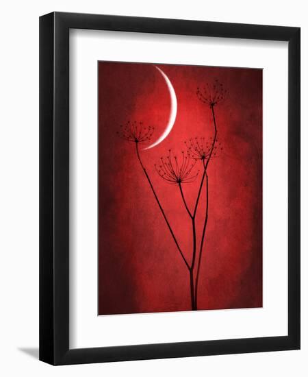 Under the Moon 2-Philippe Sainte-Laudy-Framed Photographic Print