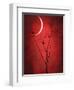 Under the Moon 2-Philippe Sainte-Laudy-Framed Photographic Print