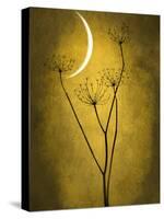 Under the Moon 3-Philippe Sainte-Laudy-Stretched Canvas