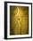 Under the Moon 3-Philippe Sainte-Laudy-Framed Photographic Print