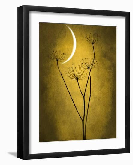 Under the Moon 3-Philippe Sainte-Laudy-Framed Photographic Print