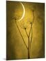 Under the Moon 3-Philippe Sainte-Laudy-Mounted Photographic Print