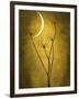 Under the Moon 3-Philippe Sainte-Laudy-Framed Photographic Print