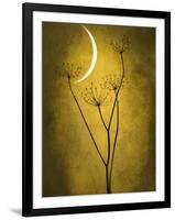 Under the Moon 3-Philippe Sainte-Laudy-Framed Photographic Print