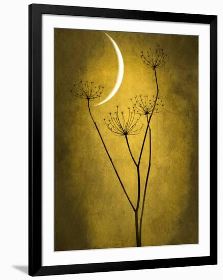 Under the Moon 3-Philippe Sainte-Laudy-Framed Photographic Print