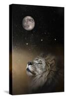 Under the Moon and Stars-Jai Johnson-Stretched Canvas