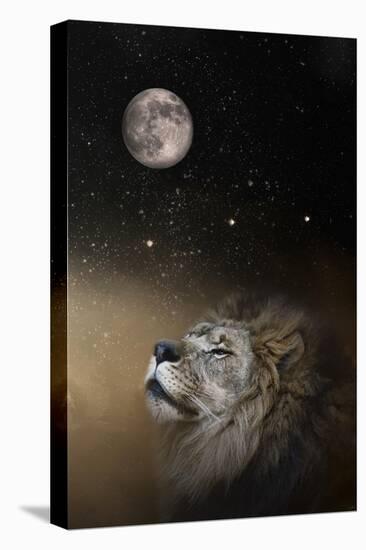Under the Moon and Stars-Jai Johnson-Stretched Canvas