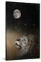 Under the Moon and Stars-Jai Johnson-Stretched Canvas