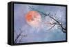Under the Moon-Thomas Leung-Framed Stretched Canvas