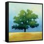 Under the Oak I-Julia Purinton-Framed Stretched Canvas