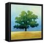 Under the Oak I-Julia Purinton-Framed Stretched Canvas