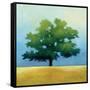 Under the Oak I-Julia Purinton-Framed Stretched Canvas