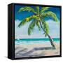 Under the Palm's Breeze I-Julie DeRice-Framed Stretched Canvas