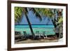 Under the Palm Trees-Jan Michael Ringlever-Framed Art Print