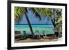 Under the Palm Trees-Jan Michael Ringlever-Framed Art Print