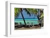 Under the Palm Trees-Jan Michael Ringlever-Framed Art Print