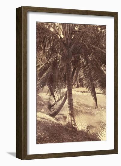 Under the Palm-Thea Schrack-Framed Giclee Print