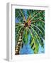 Under the Palms I-Carolee Vitaletti-Framed Art Print