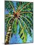 Under the Palms I-Carolee Vitaletti-Mounted Art Print