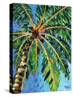 Under the Palms I-Carolee Vitaletti-Stretched Canvas