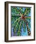 Under the Palms II-Carolee Vitaletti-Framed Art Print