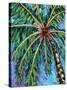 Under the Palms II-Carolee Vitaletti-Stretched Canvas