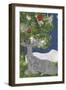 Under the Pines 12-null-Framed Giclee Print