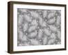 Under the Pines 9-null-Framed Giclee Print