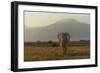 Under The Roof Of Africa-Massimo Mei-Framed Giclee Print