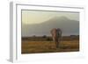 Under The Roof Of Africa-Massimo Mei-Framed Giclee Print
