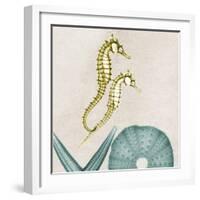 Under the Sea 1-Albert Koetsier-Framed Premium Giclee Print