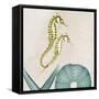 Under the Sea 1-Albert Koetsier-Framed Stretched Canvas