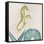 Under the Sea 1-Albert Koetsier-Framed Stretched Canvas