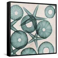 Under the Sea 3-Albert Koetsier-Framed Stretched Canvas