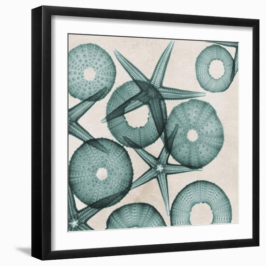 Under the Sea 3-Albert Koetsier-Framed Art Print