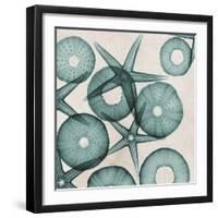 Under the Sea 3-Albert Koetsier-Framed Art Print