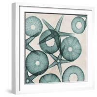 Under the Sea 3-Albert Koetsier-Framed Art Print