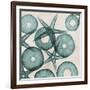 Under the Sea 3-Albert Koetsier-Framed Art Print