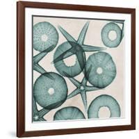 Under the Sea 3-Albert Koetsier-Framed Art Print