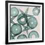 Under the Sea 3-Albert Koetsier-Framed Art Print